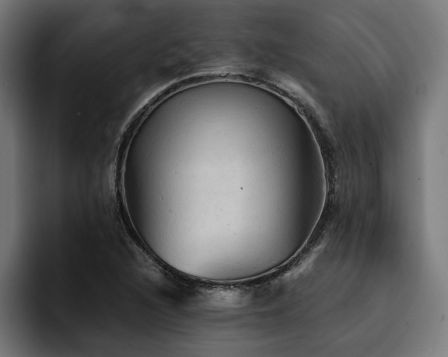 X0000094451216200711081258