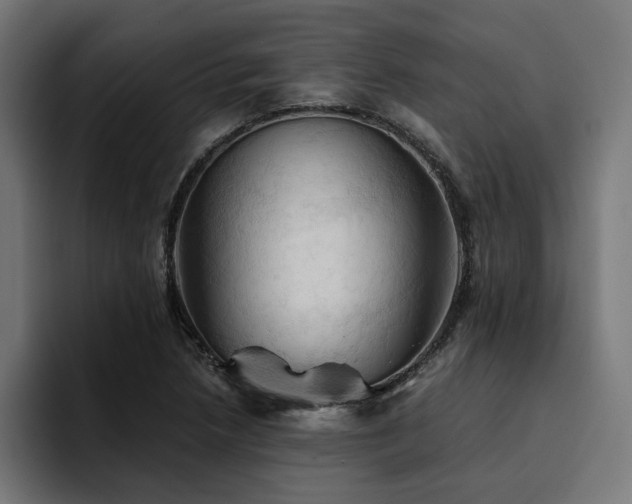 X0000094451218200711081258