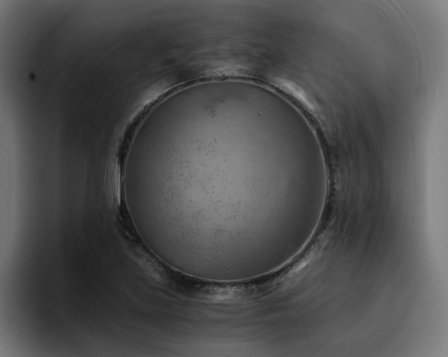 X0000094451219200711081258