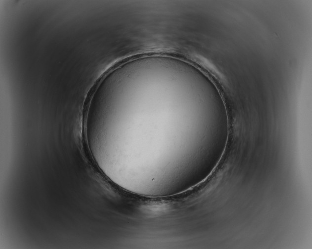 X0000094451220200711081258