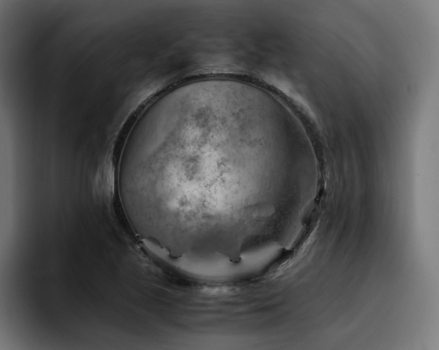 X0000094451221200711081258