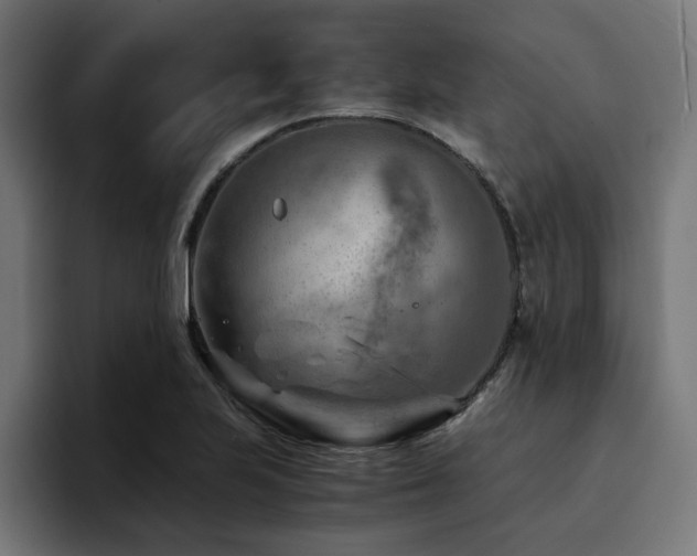 X0000094451223200711081258