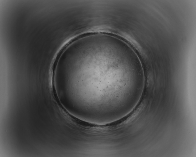 X0000094451224200711081258