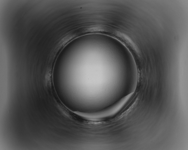 X0000094451225200711081258