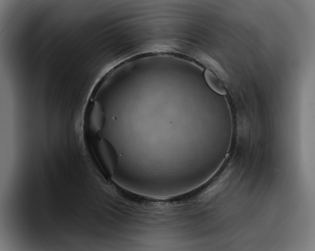 X0000094451226200711081258