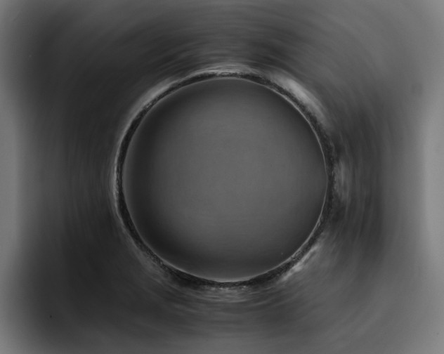 X0000094451229200711081258