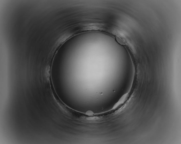 X0000094451233200711081258