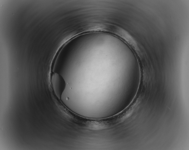X0000094451234200711081258