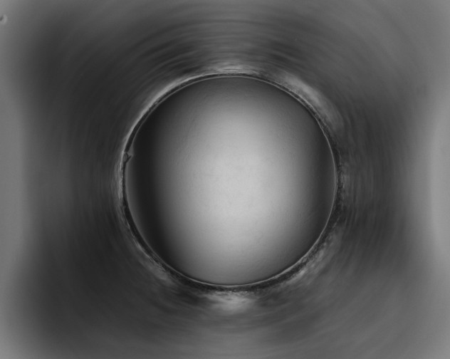 X0000094451236200711081258