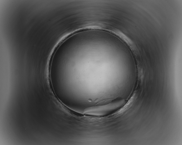 X0000094451240200711081258