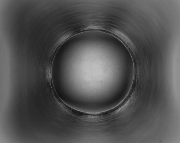 X0000094451241200711081258