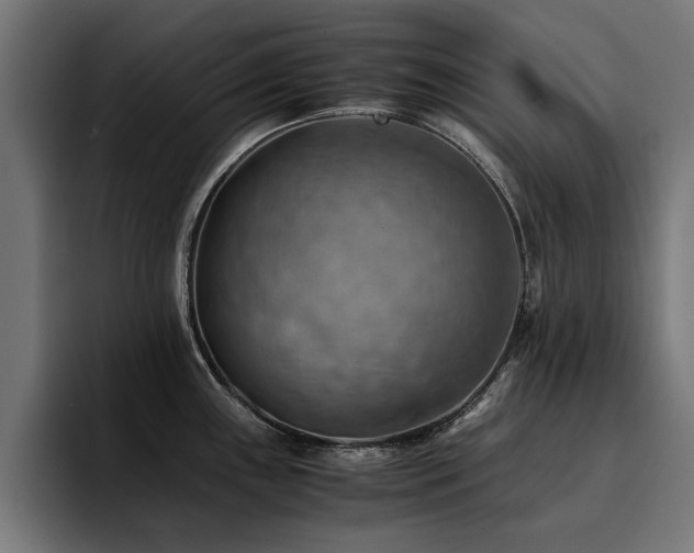 X0000094451243200711081258