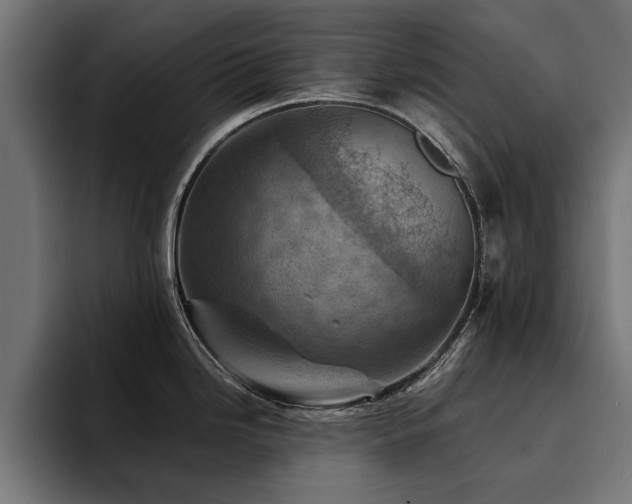 X0000094451246200711081258