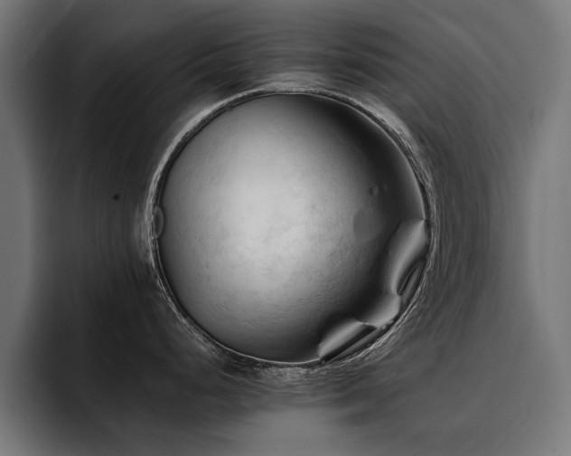 X0000094451248200711081258