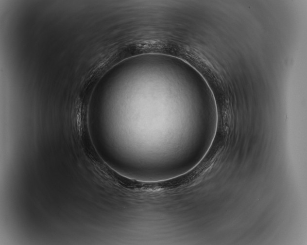 X0000094451250200711081258