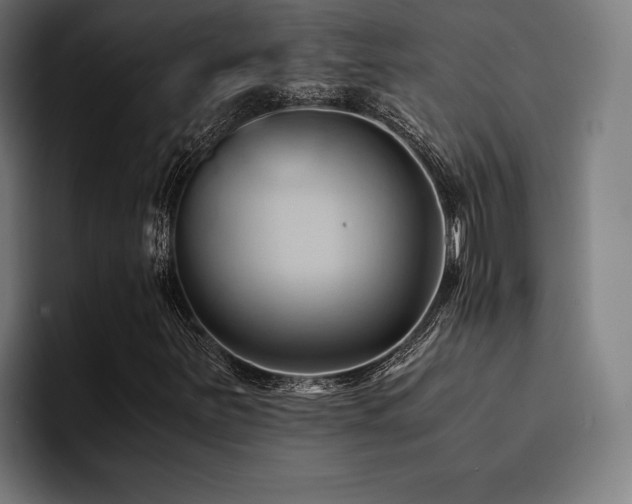 X0000094451251200711081258