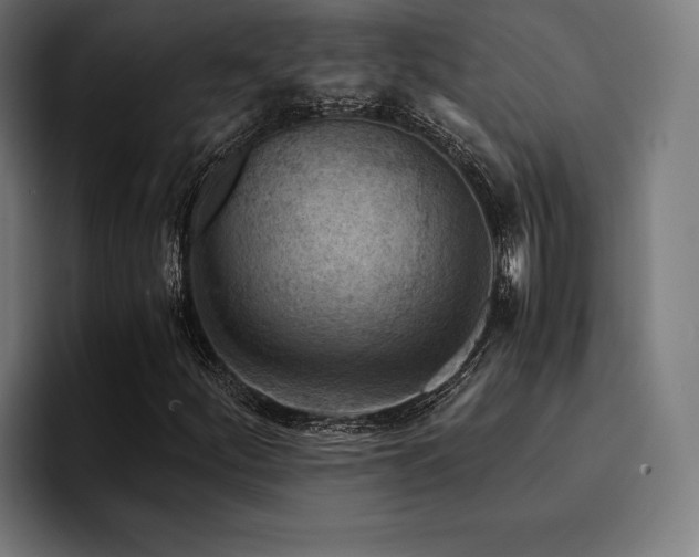 X0000094451252200711081258