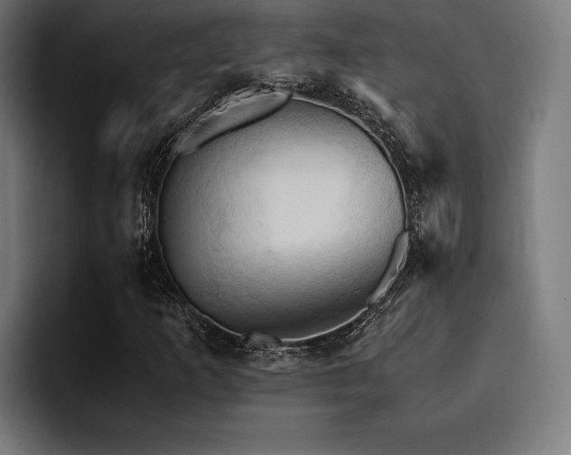 X0000094451253200711081257