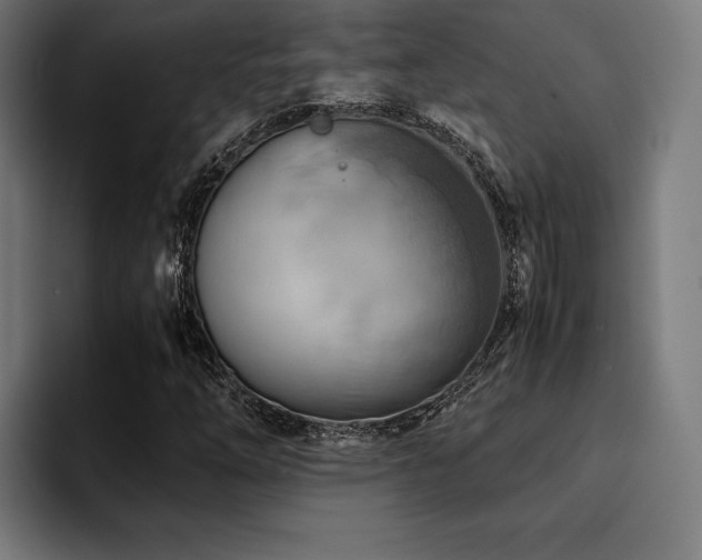 X0000094451254200711081257