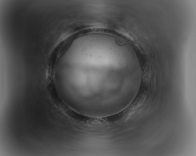X0000094451255200711081257