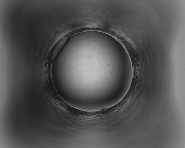 X0000094451256200711081257