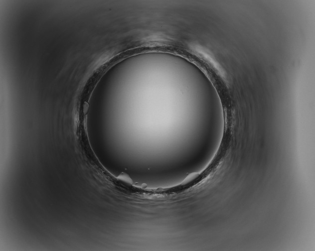 X0000094451261200711081257