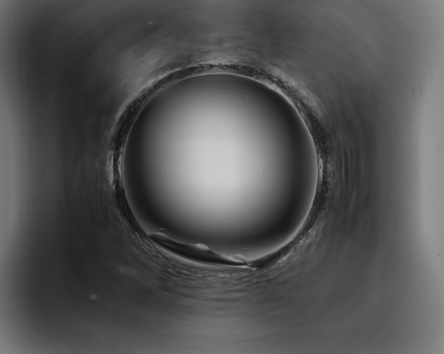 X0000094451262200711081257
