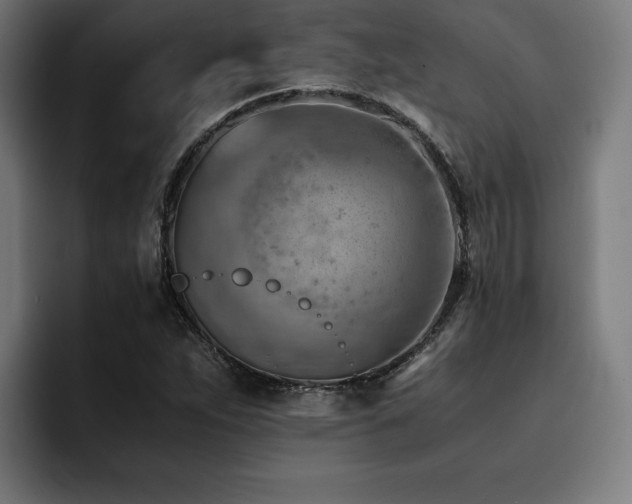 X0000094451263200711081257
