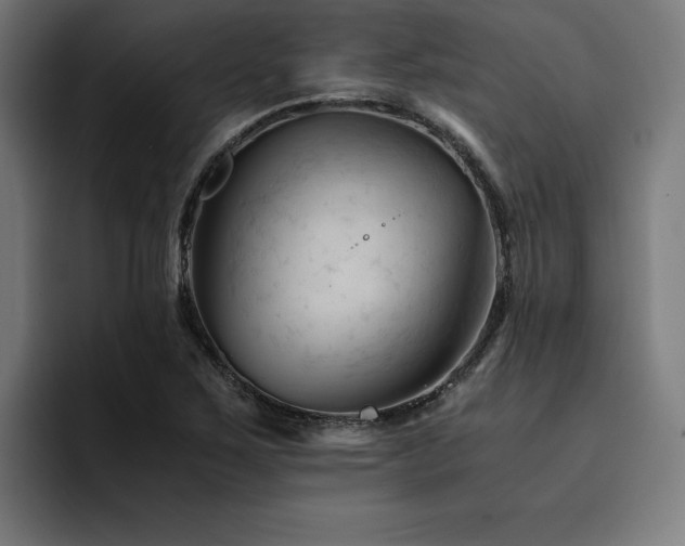 X0000094451267200711081257