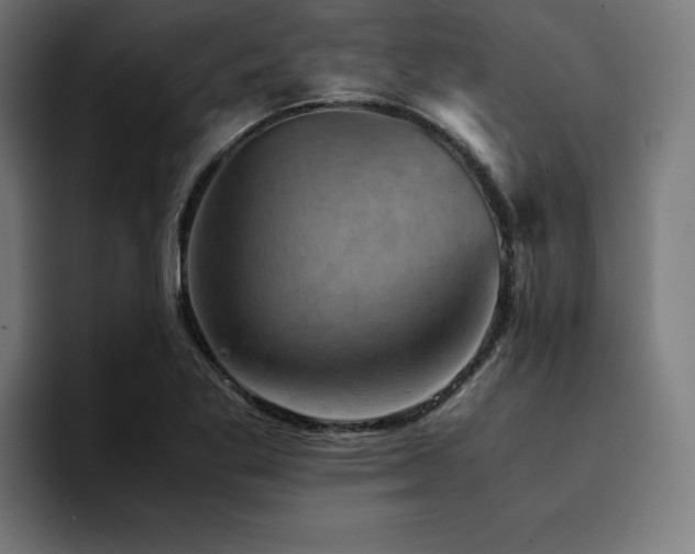 X0000094451269200711081257