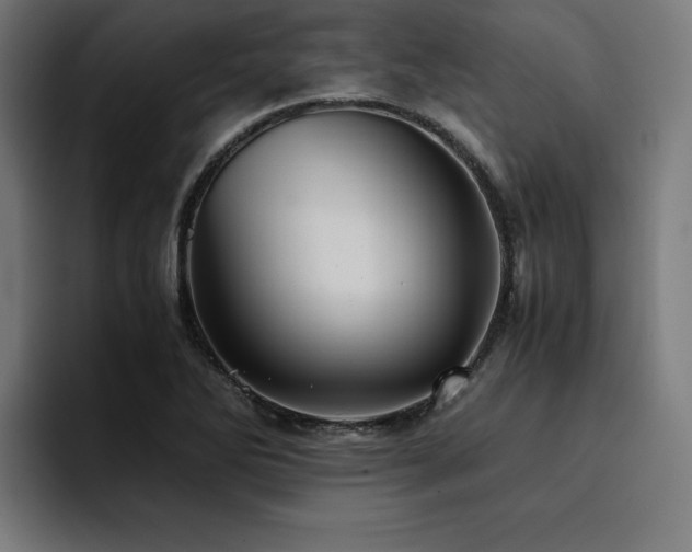 X0000094451270200711081257