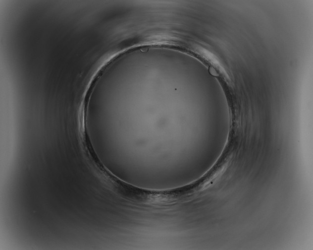 X0000094451275200711081257