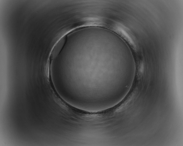 X0000094451276200711081257