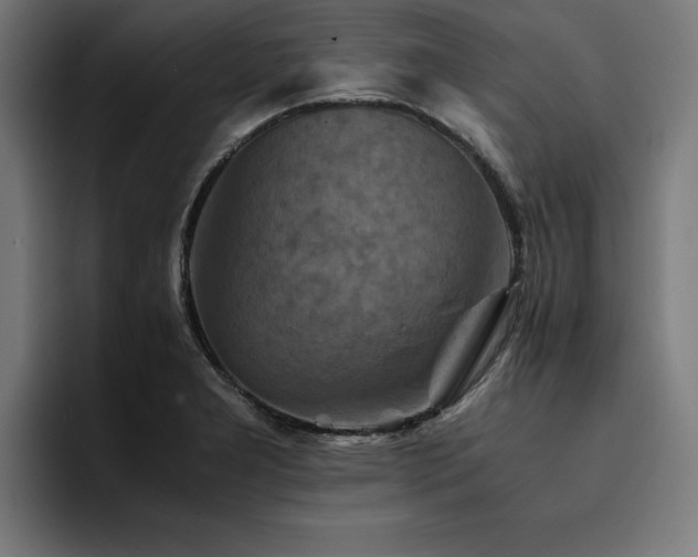 X0000094451277200711081257