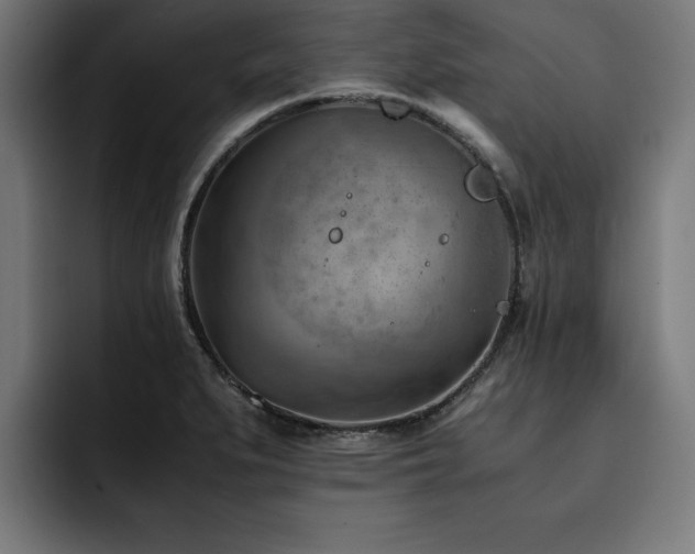 X0000094451279200711081257