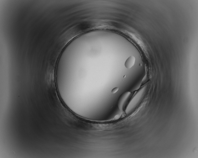X0000094451281200711081257