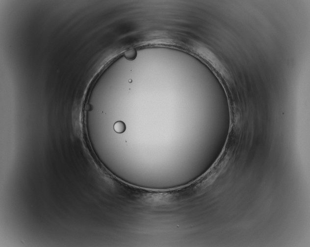 X0000094451282200711081257