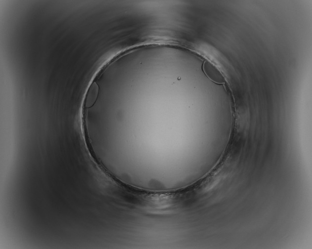 X0000094451283200711081257