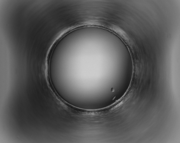 X0000094451286200711081257