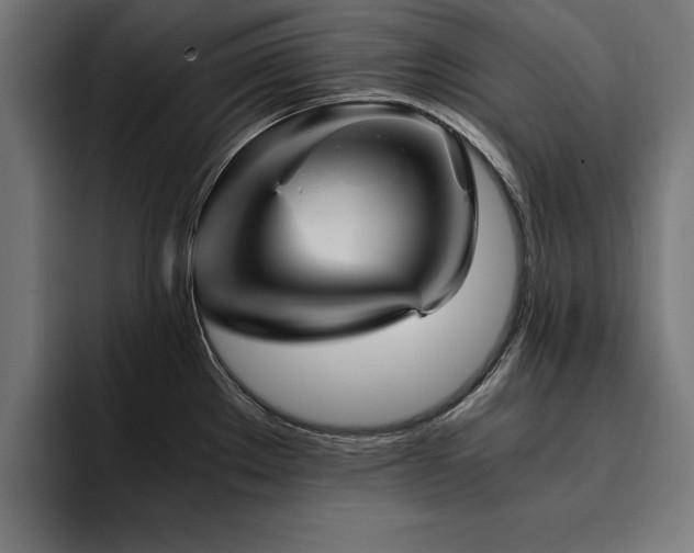 X0000094451289200711081257