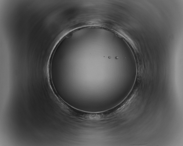 X0000094451291200711081257