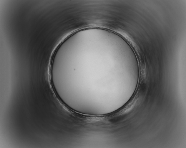 X0000094451294200711081257