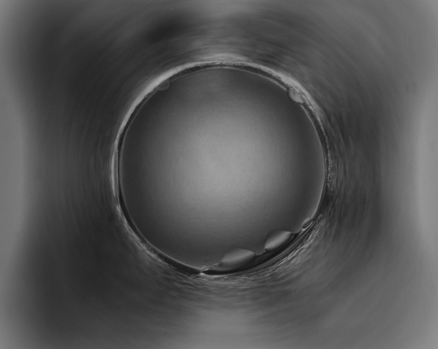 X0000094451295200711081257