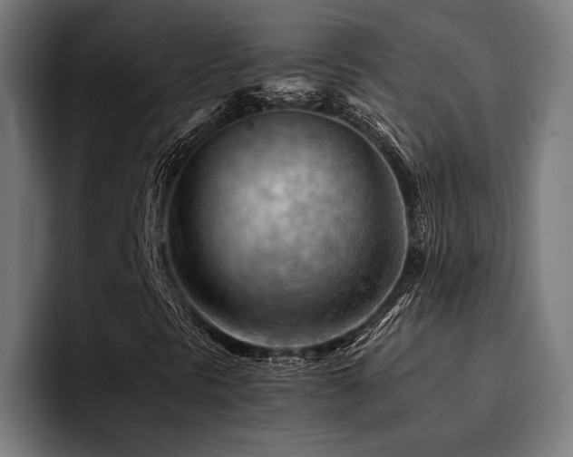 X0000094451297200711081256