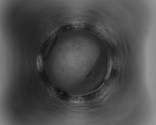 X0000094451298200711081256