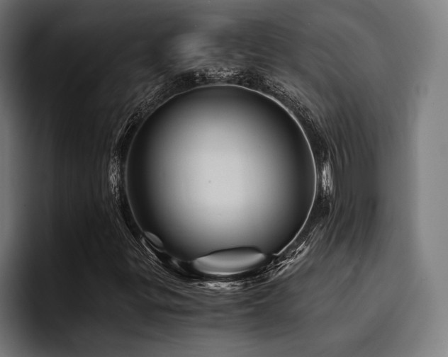 X0000094451299200711081256