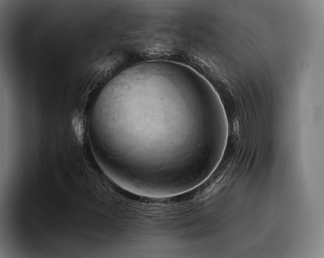 X0000094451300200711081256