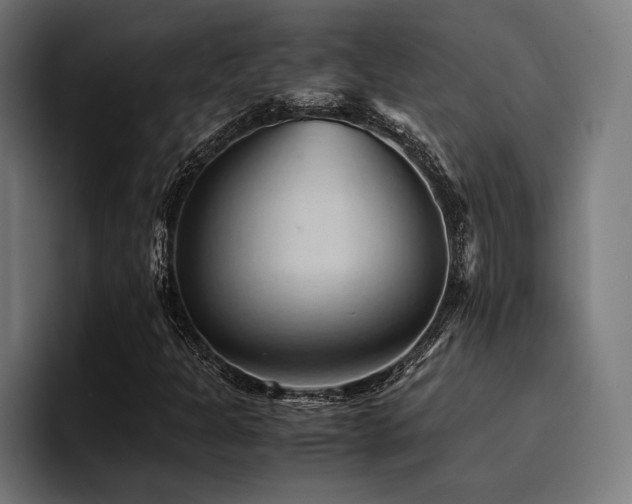 X0000094451301200711081256