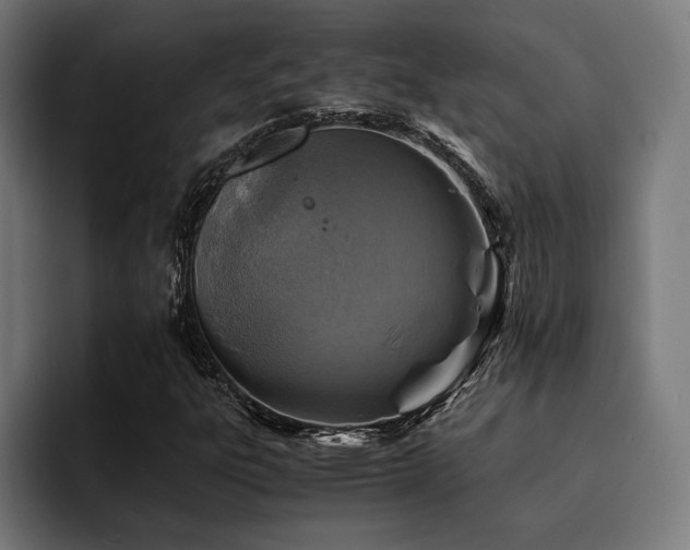 X0000094451303200711081256