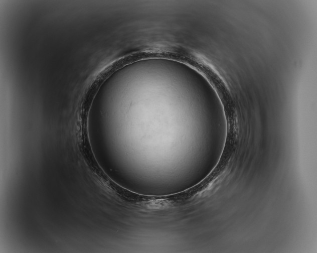 X0000094451304200711081256